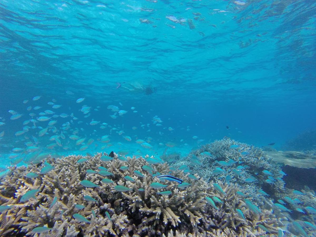Ukulhas Beach Inn Bagian luar foto